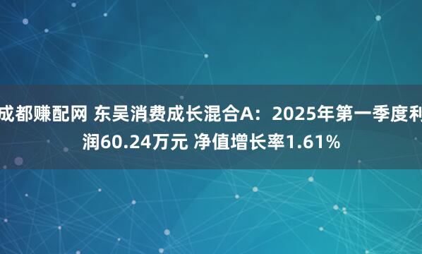 成都赚配网 东吴消费成长混合A：2025年第一季度利润60.24万元 净值增长率1.61%