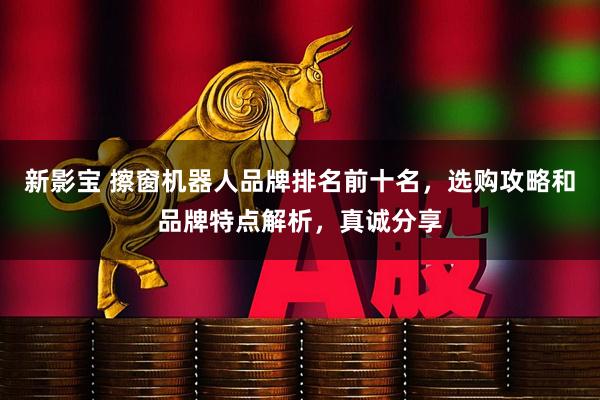 新影宝 擦窗机器人品牌排名前十名，选购攻略和品牌特点解析，真诚分享